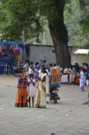 On the Route to Alleppey_DSC6298_H600